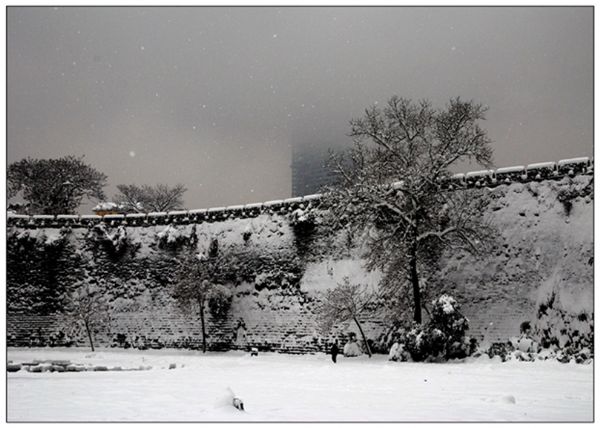 再想活它六百年（南京的城墙）